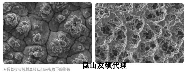 成都蔡司成都扫描电镜